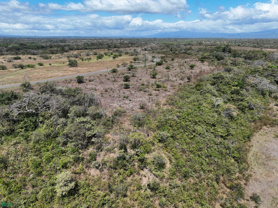 Land in Nacascolo, Liberia, Costa Rica 5 - 18487869