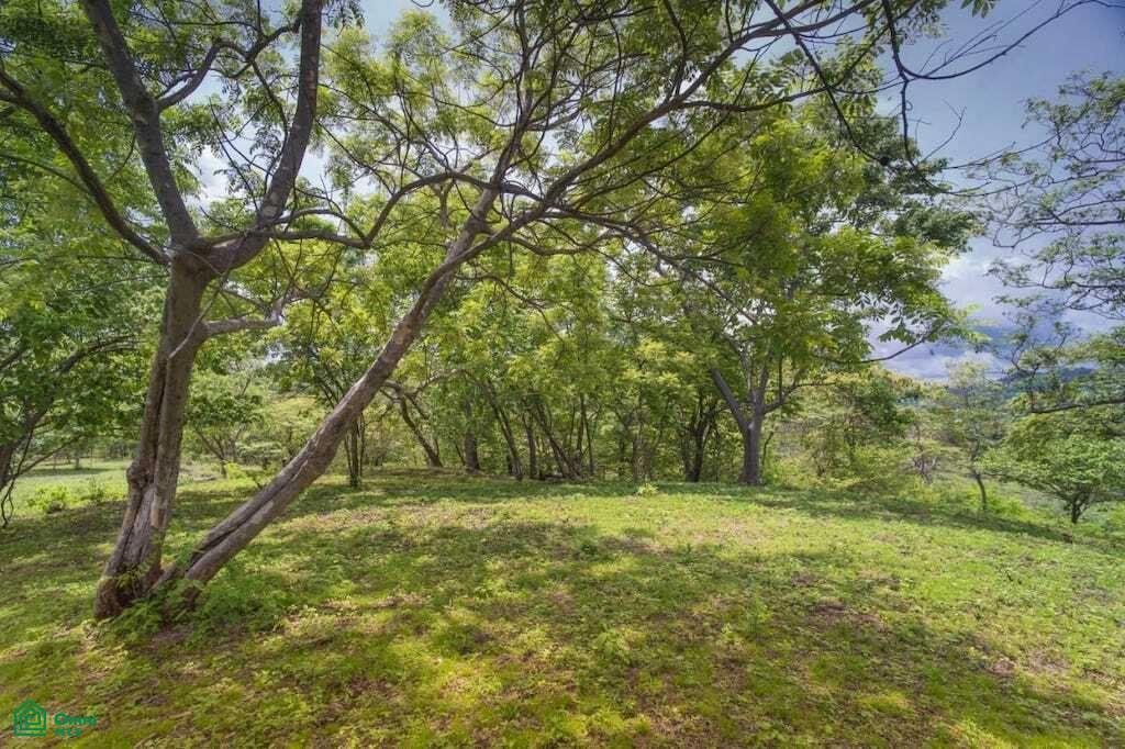 Land in Tamarindo, Santa Cruz, Costa Rica 2 - 17804339