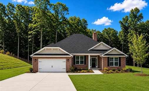 House in Douglasville, Georgia, United States 1