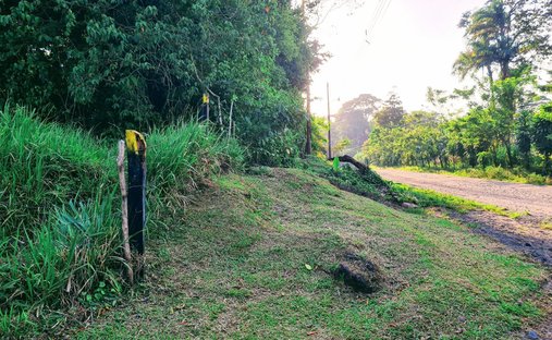 Terrain en Dos Ríos, Upala, Costa Rica 1