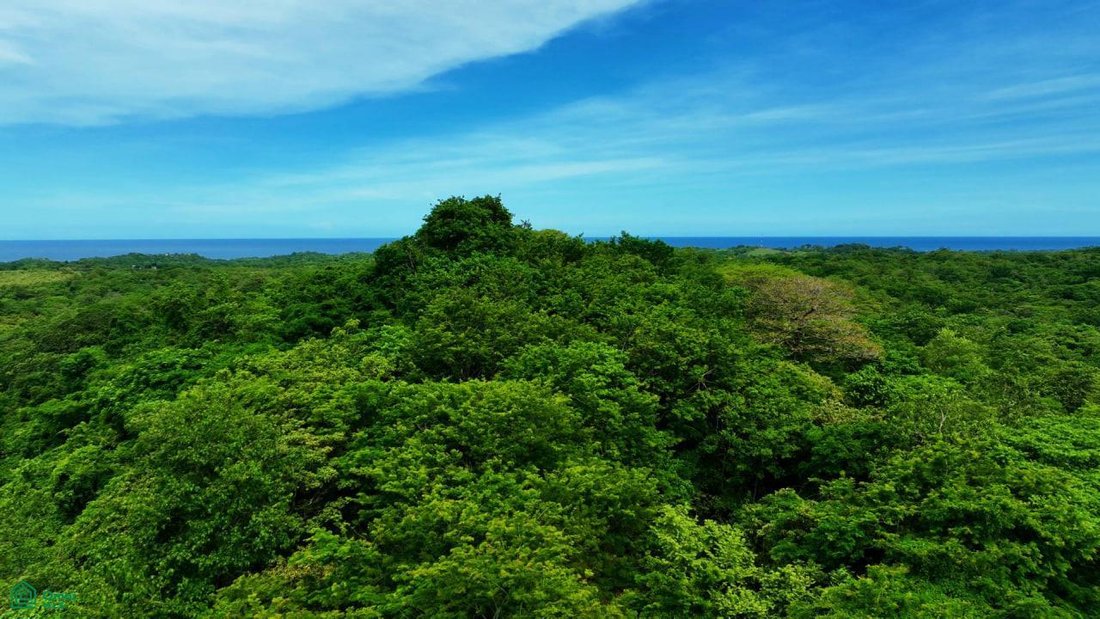 Land in Cuajiniquil, Santa Cruz, Costa Rica 1 - 18527649