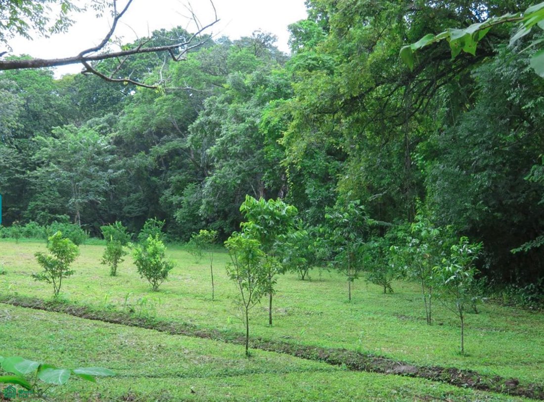 Land in Playa Pelada, Guanacaste Province, Costa Rica 1 - 18505502