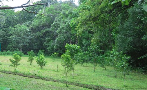 Land in Playa Pelada, Guanacaste Province, Costa Rica 1
