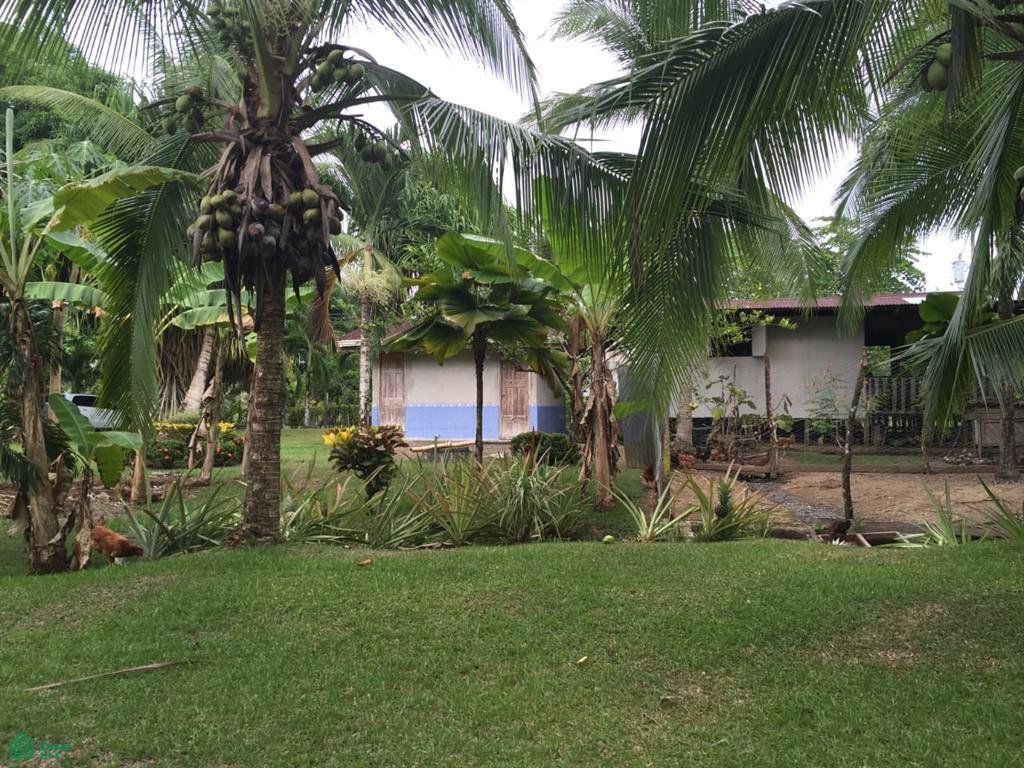 Land in Palma, Puntarenas Province, Costa Rica 2 - 17810210