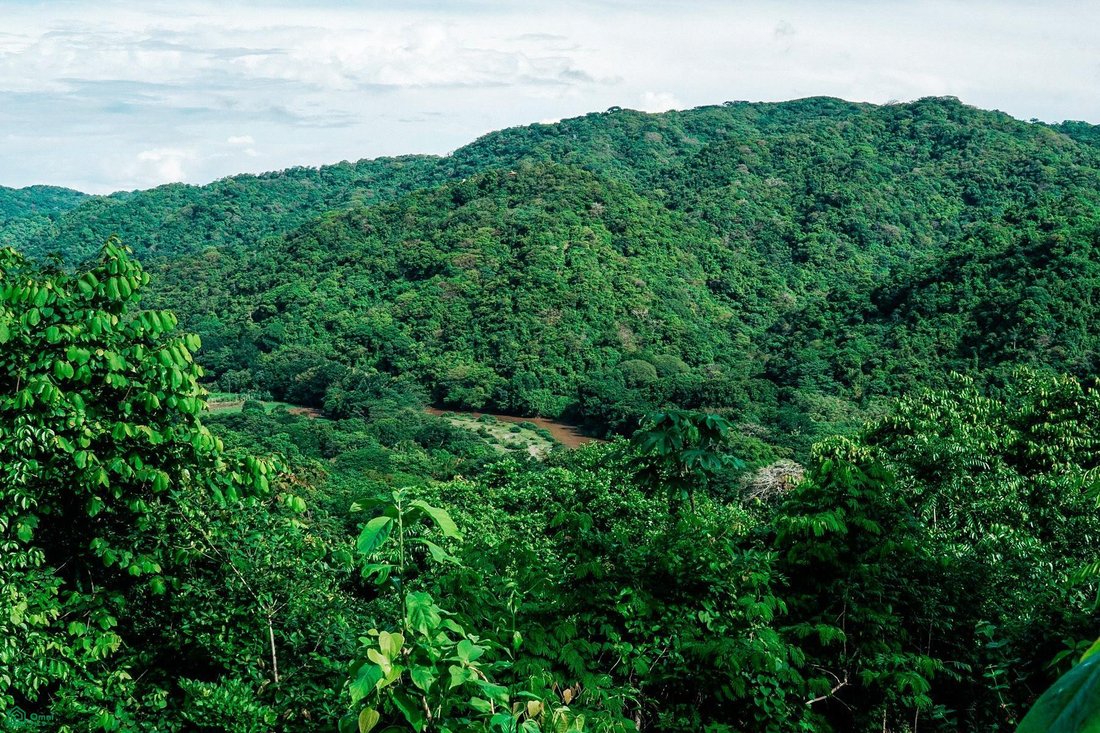 Land in Nosara, Nicoya, Costa Rica 1 - 18496523