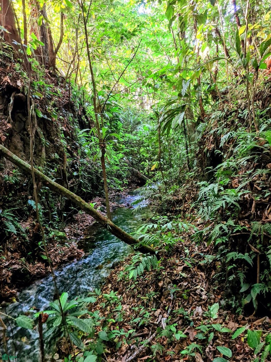 Land in Dos Ríos, Upala, Costa Rica 3 - 18527610
