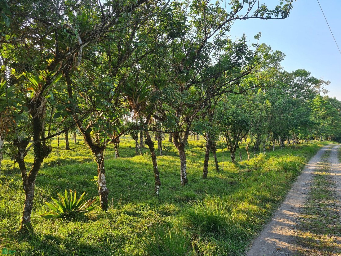 Land in Dos Ríos, Upala, Costa Rica 2 - 18527610