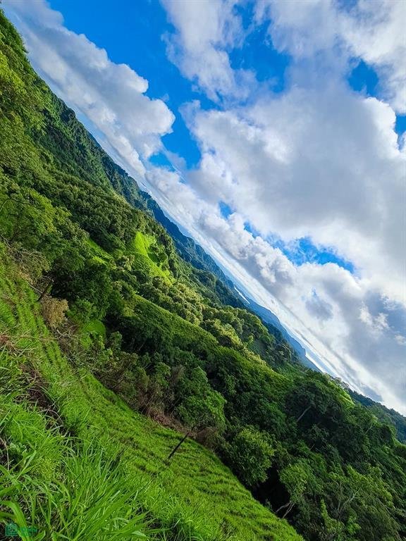 Land in Paquera, Puntarenas Province, Costa Rica 1 - 17810874