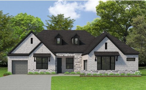 House in Willis, Texas, United States 1