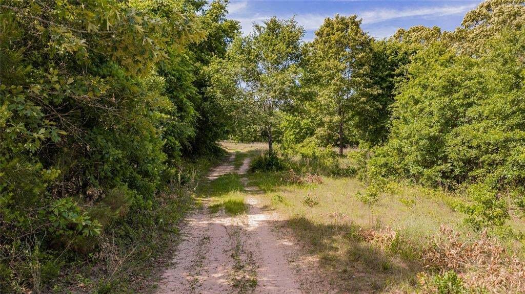House in Karnack, Texas, United States 2 - 17952517