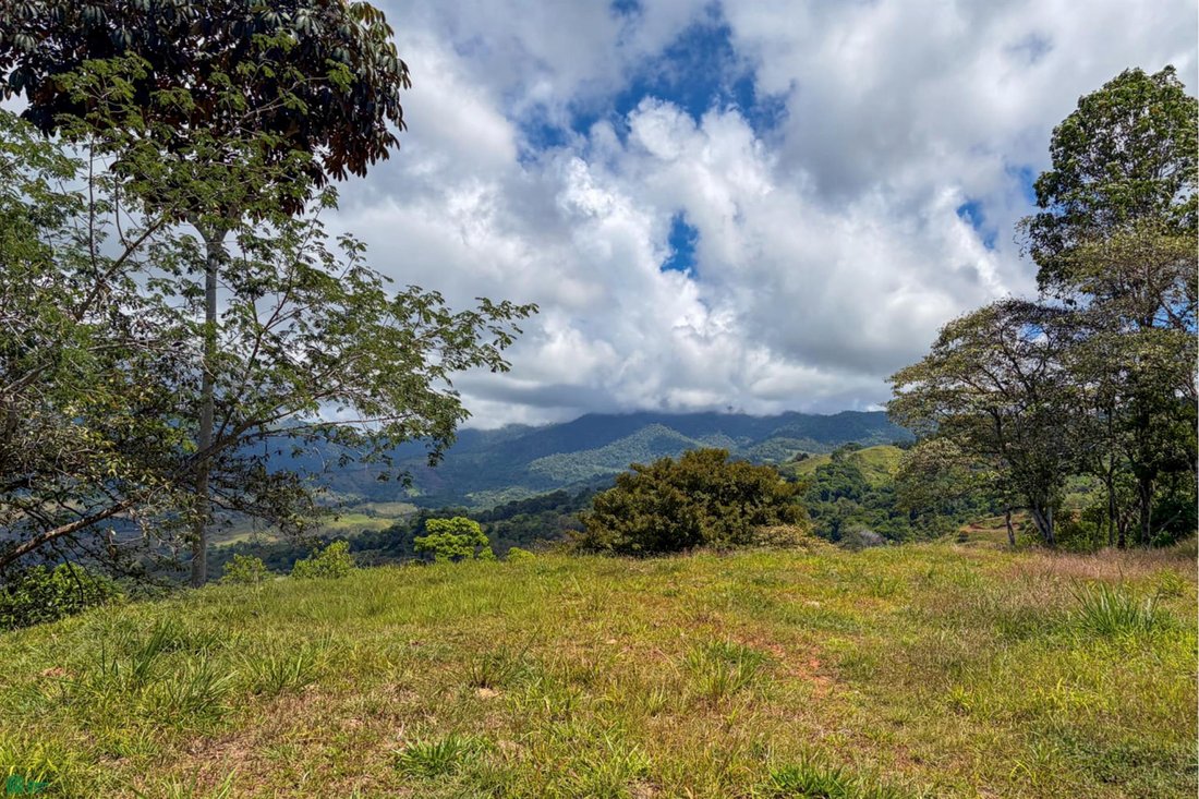 Land in Barú, Pérez Zeledón, Costa Rica 3 - 18517240