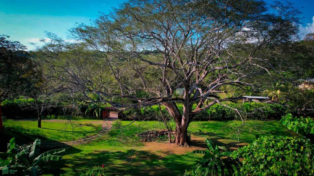 Casa a Orotina, Provincia di Guanacaste, Costa Rica 1 - 18116211