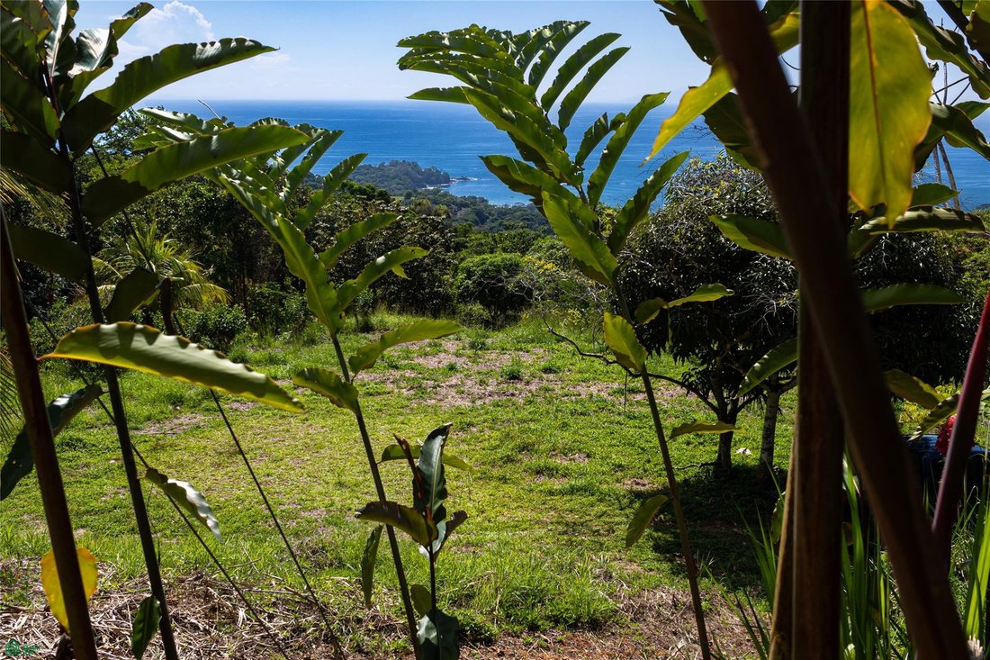 Land in Dominicalito, Puntarenas Province, Costa Rica 4 - 18542751