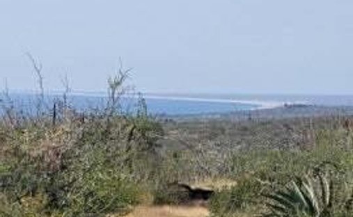 Land in Todos Santos, Baja California Sur, Mexiko 1
