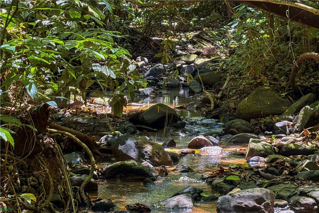 Land in Barú, Pérez Zeledón, Costa Rica 2 - 18517240