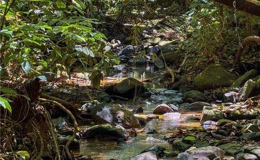 Land in Barú, Pérez Zeledón, Costa Rica 1