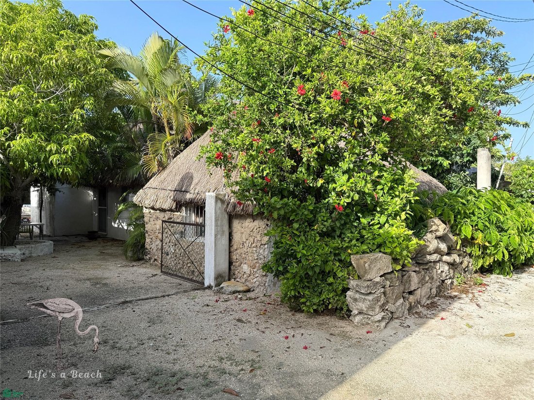 House in Telchac Puerto, Yucatan, Mexico 1 - 18379643