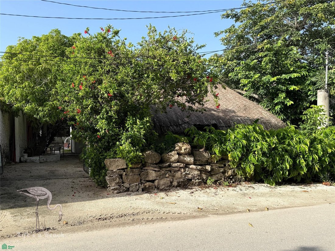 House in Telchac Puerto, Yucatan, Mexico 2 - 18379643