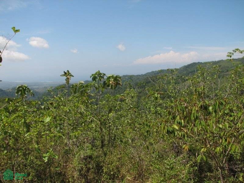 Land in Carara, San José Province, Costa Rica 4 - 17811445