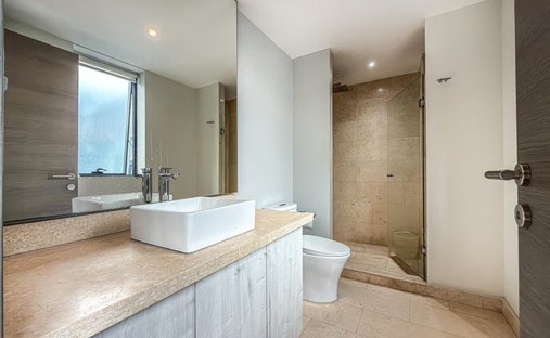 Condo in Mexico City, Mexico 1