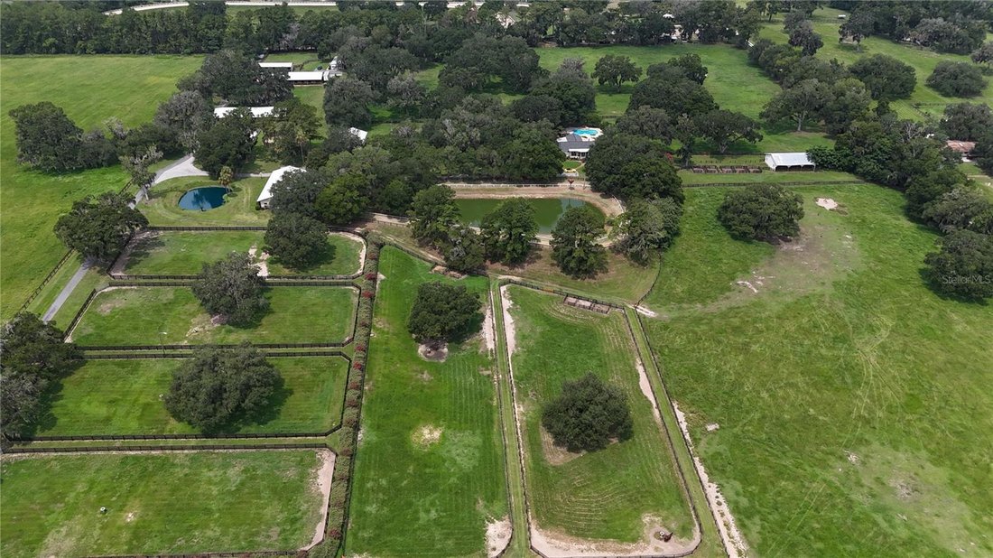 Farm Ranch in Reddick, Florida, United States 1 - 17180974