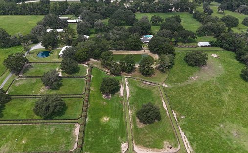 Azienda agricola a Reddick, Florida, Stati Uniti 1