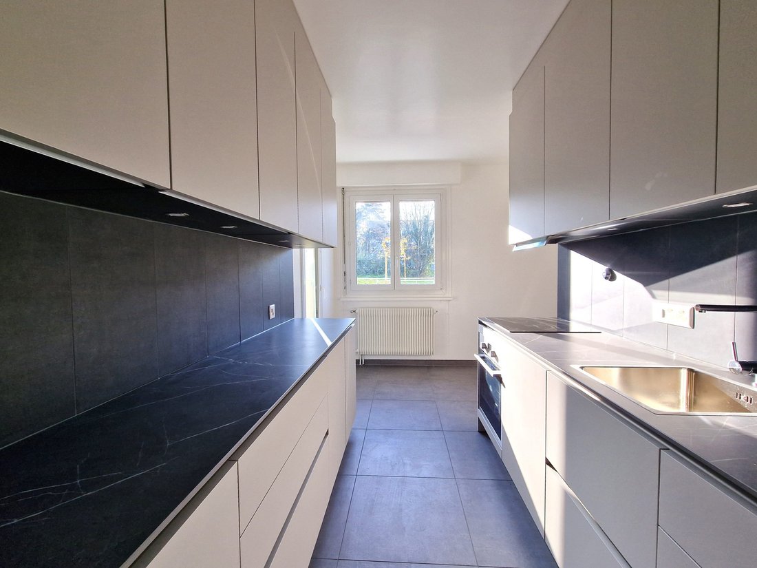 Apartment in Onex, Genève, Switzerland 4 - 18576449
