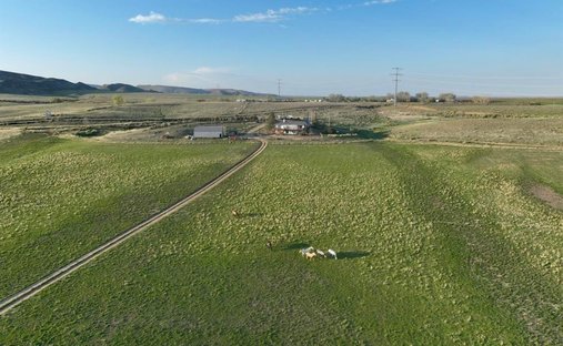 House in Wellington, Colorado, United States 1