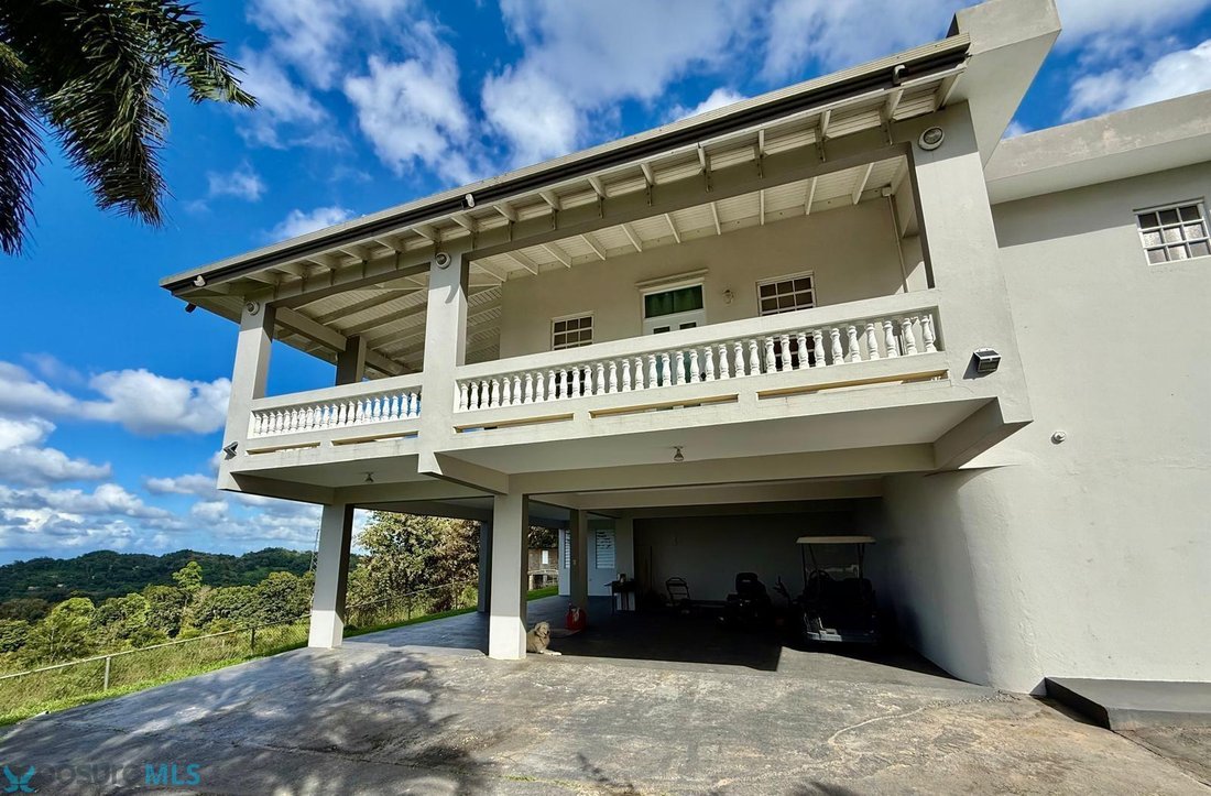 House in Morovis, Morovis, Puerto Rico 4 - 18574526