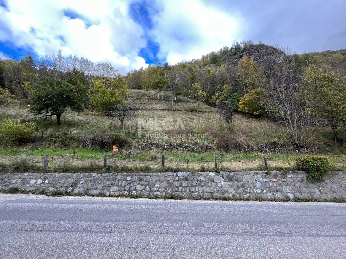 Land in Saint-Etienne-de-Tinée, Provence-Alpes-Côte d'Azur, France 1 - 14848375