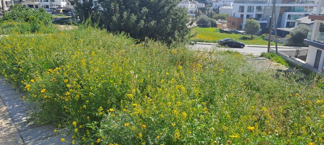Terrain à Ágios Athanásios, Limassol, Chypre 3 - 16378635