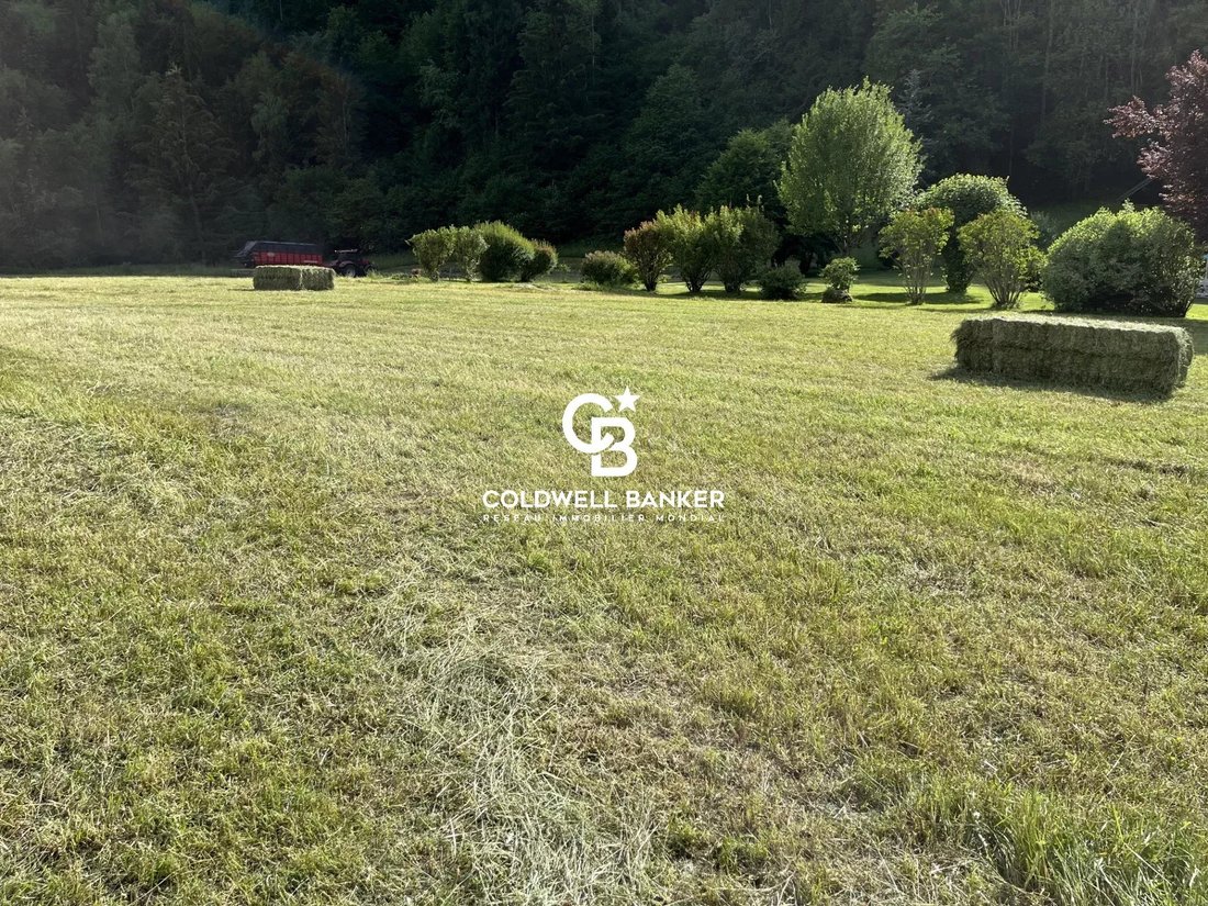 Land in Saint-Gervais-les-Bains, Auvergne-Rhône-Alpes, France 4 - 18574966