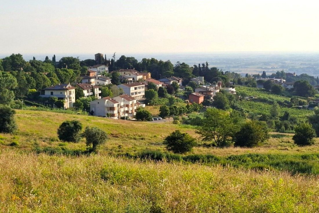 Land in Bertinoro, Emilia-Romagna, Italy 2 - 18578260