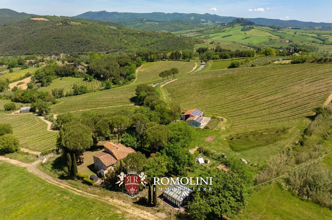Farm Ranch in Montescudaio, Tuscany, Italy 1 - 18575234