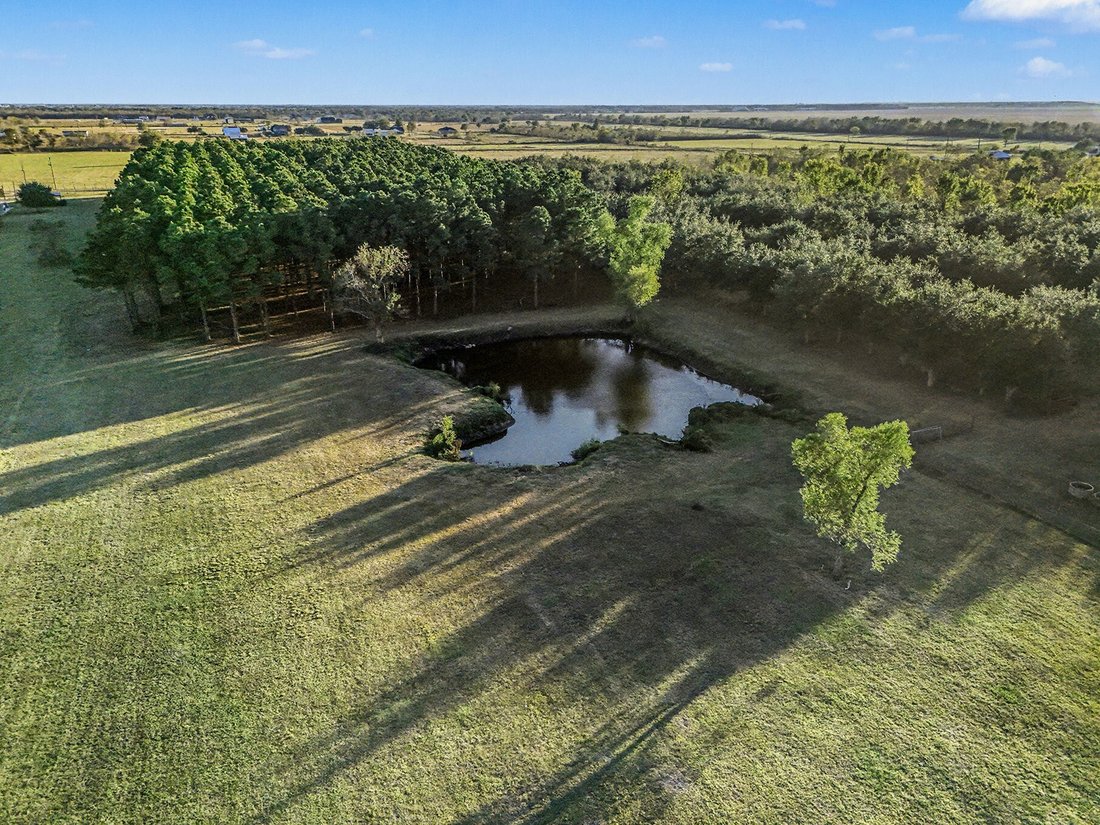Rancho en Rosharon, Texas, Estados Unidos 3 - 18576355
