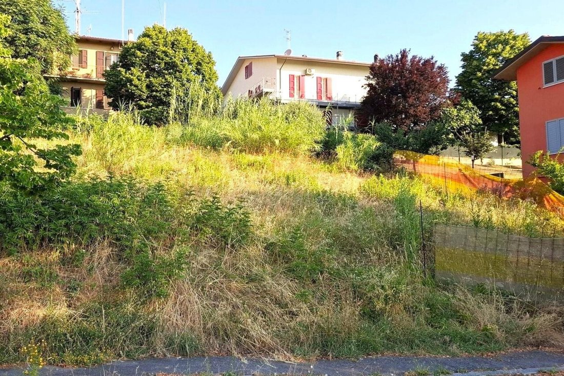 Land in Bertinoro, Emilia-Romagna, Italy 3 - 18578266