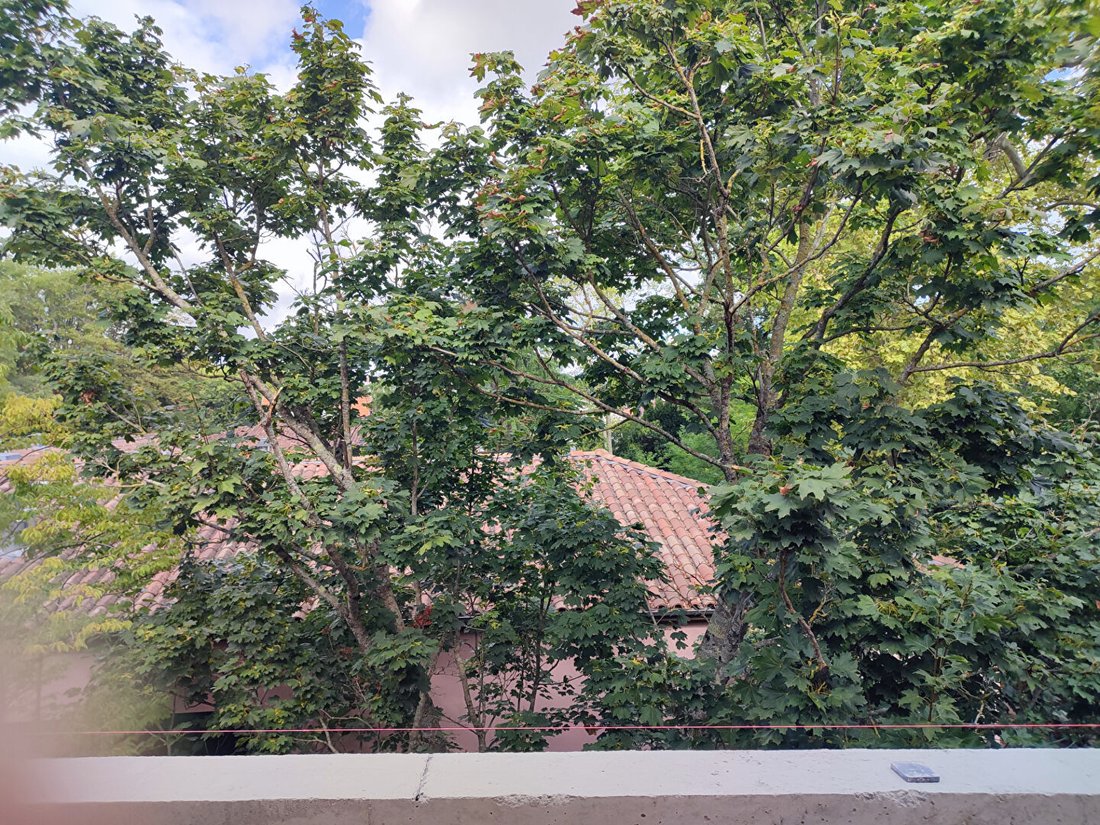 Apartment in Côte Pavée-L Hers-La Terrasse, Toulouse, France 2 - 18578436