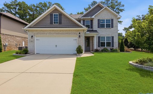 House in Madison, Alabama, United States 1