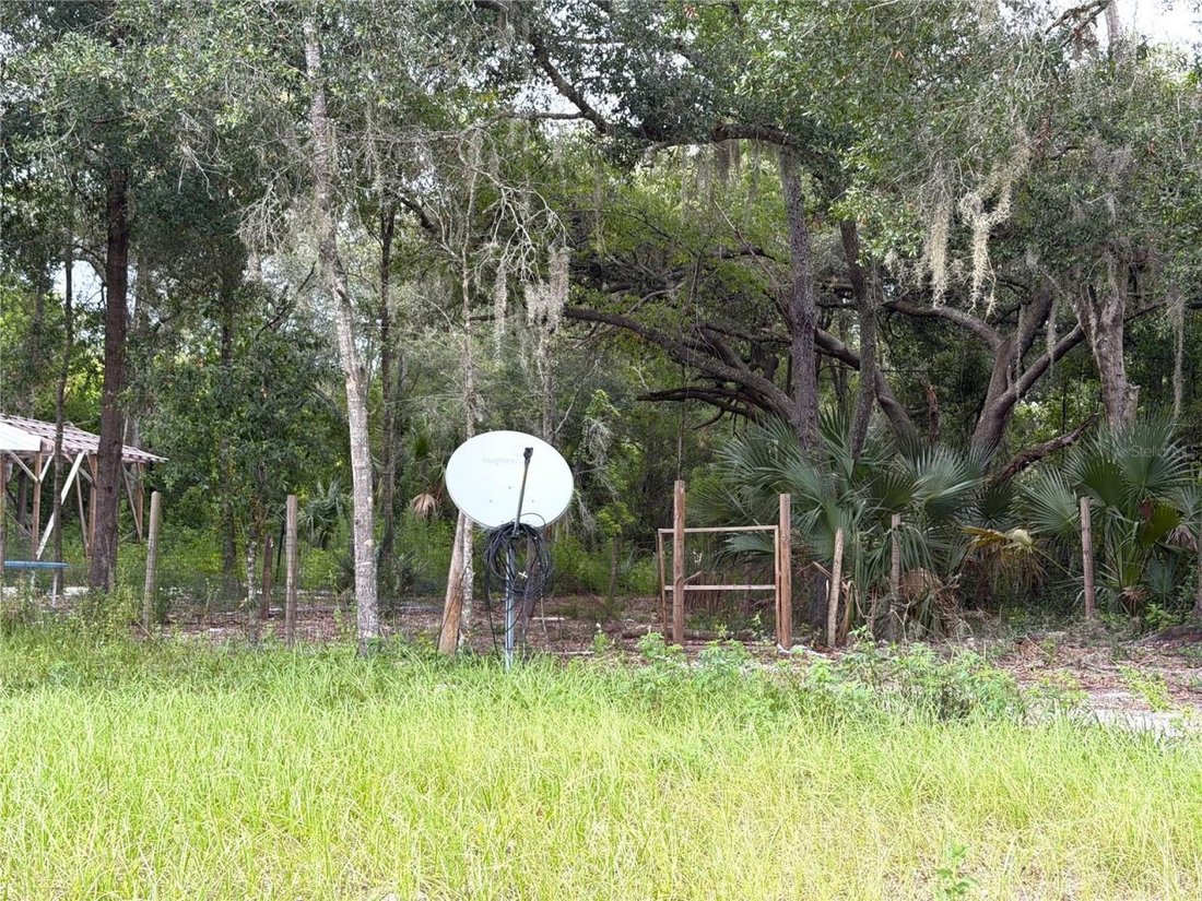 Land in Apopka, Florida, United States 5 - 18578629