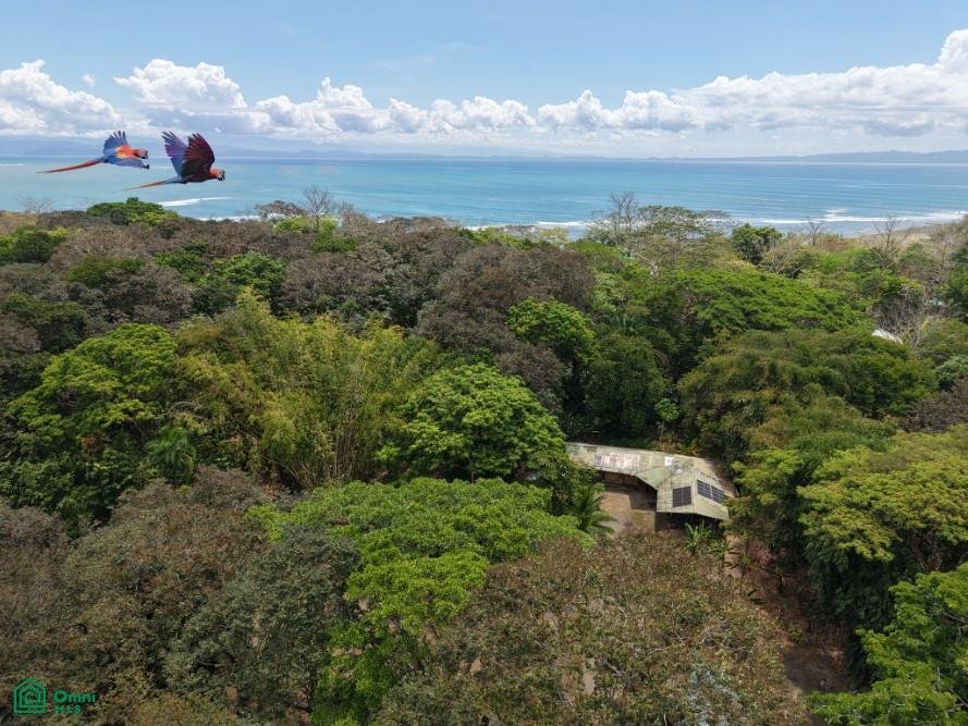 Land in Golfito, Puerto Jiménez, Costa Rica 1 - 17810866