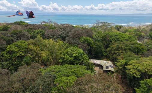 Land in Golfito, Puerto Jiménez, Costa Rica 1
