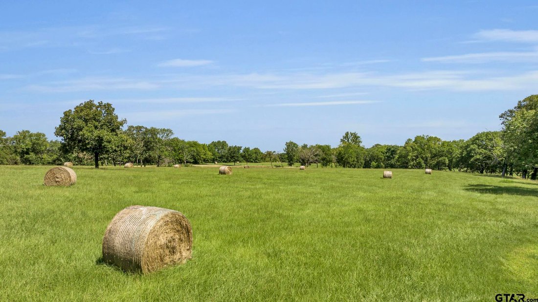 House in Alba, Texas, United States 5 - 18576283