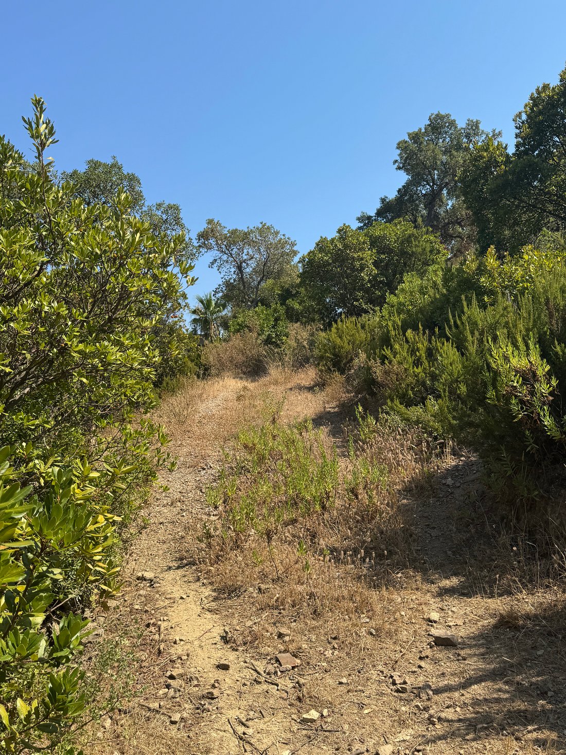 Land in Les Issambres, Roquebrune-sur-Argens, France 2 - 18575122