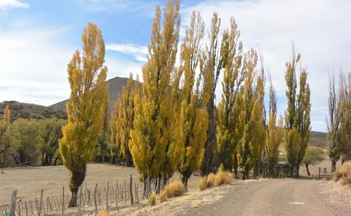 Land in Colipilli, Neuquén, Argentinien 1