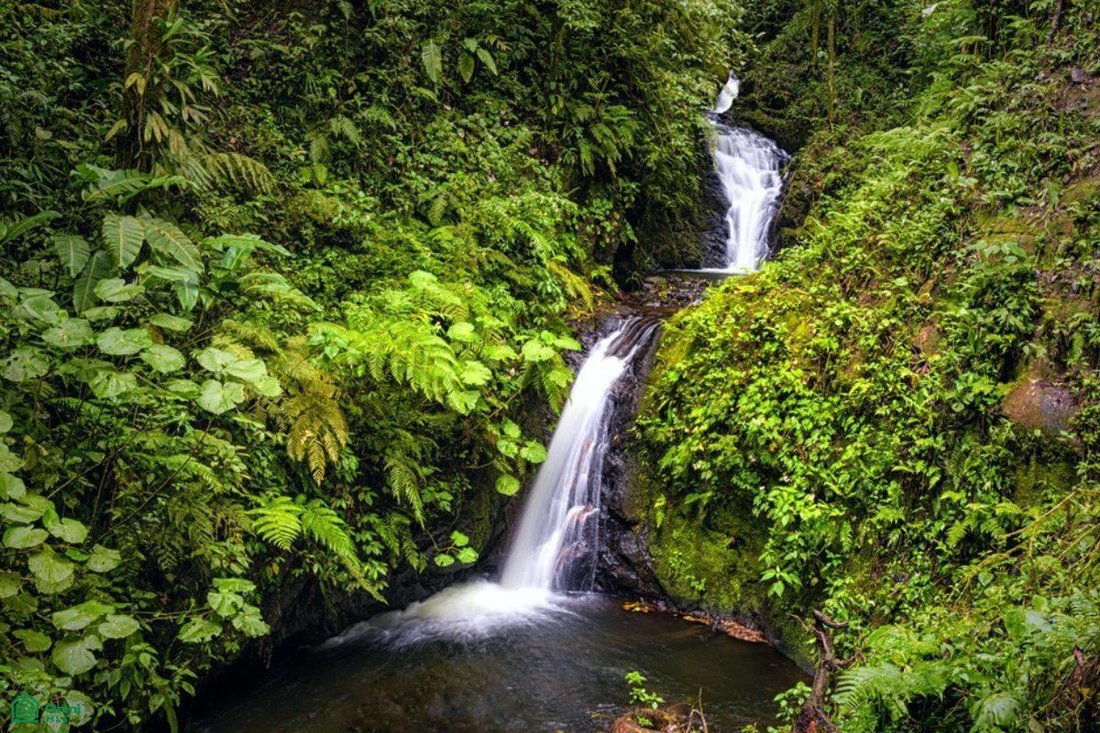 Land in San Ramón, San Ramón, Costa Rica 4 - 18353387