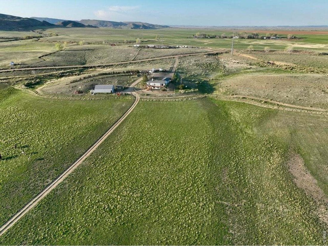 Wellington, Colorado, United States 2 - 18576494