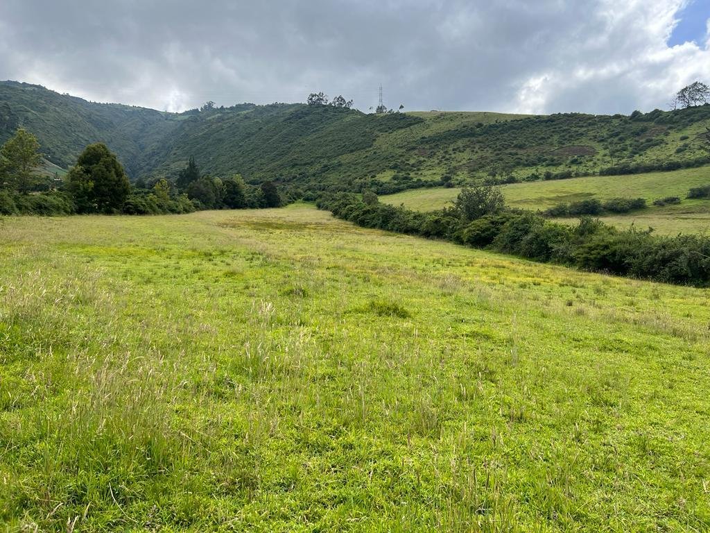 Farm Ranch in Machachi, Pichincha, Ecuador 4 - 18571669