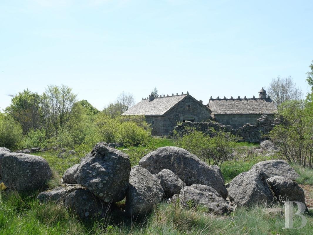 Farm Ranch in Pont de Montvert - Sud Mont Lozère, Occitania, France 3 - 13807075