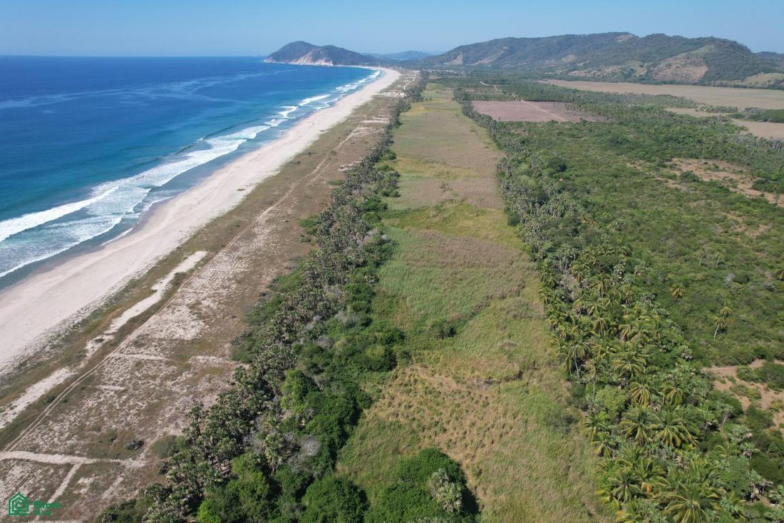 Land in Campamento Cerro Hermoso, Oaxaca, Mexico 4 - 18518548
