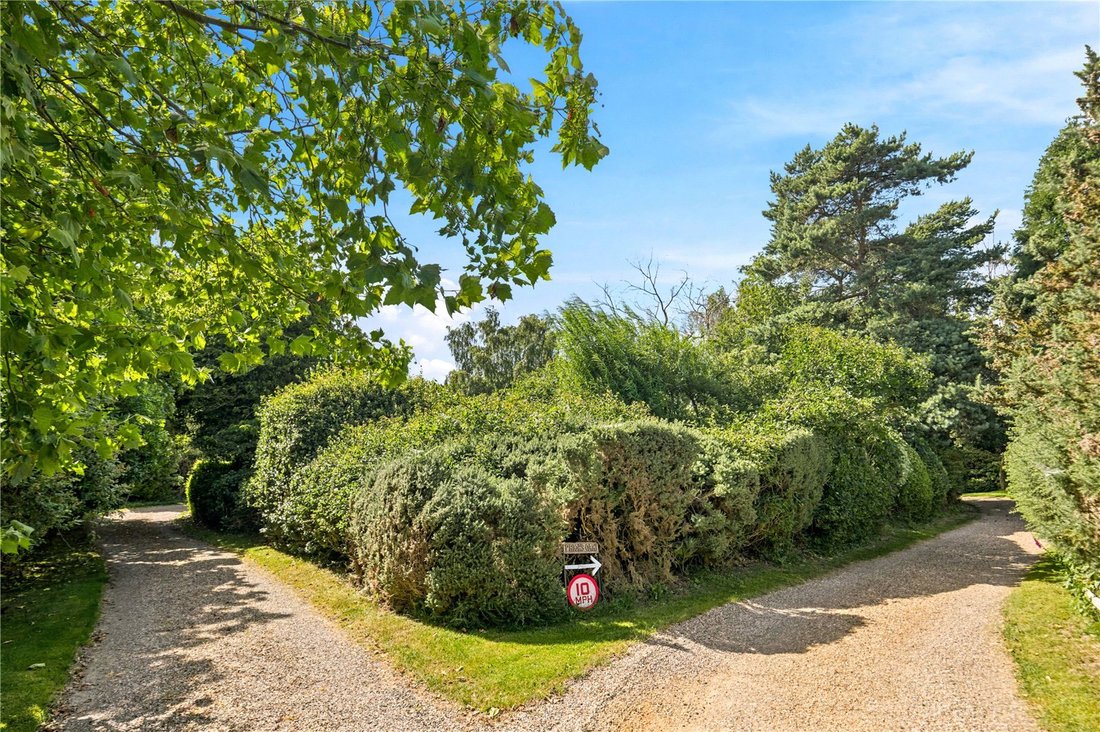 Bungalow in Aldeburgh, England 5 - 18575130